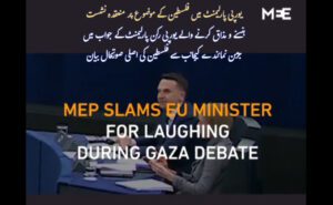 یورپی پارلیمنٹ میں فلسطین کے موضوع پر منعقدہ نشست