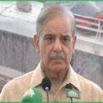 نوازو.jpg